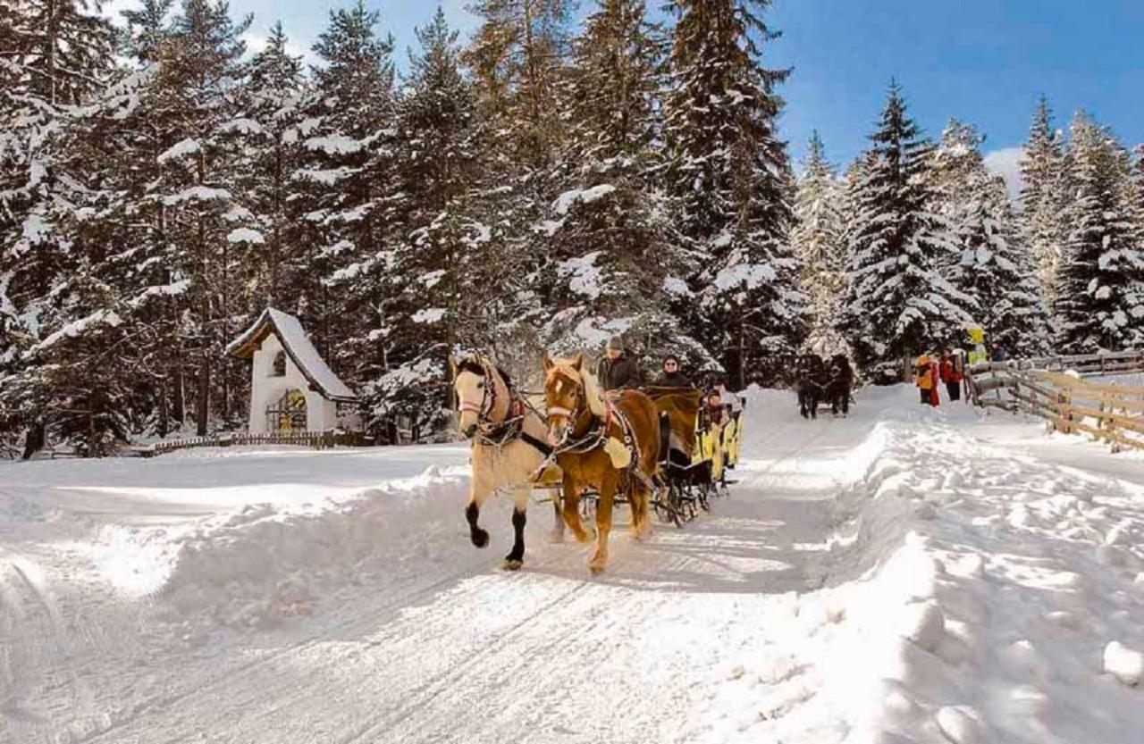 Appartmenthaus Birkenwald Зеефелд в Тирол Екстериор снимка