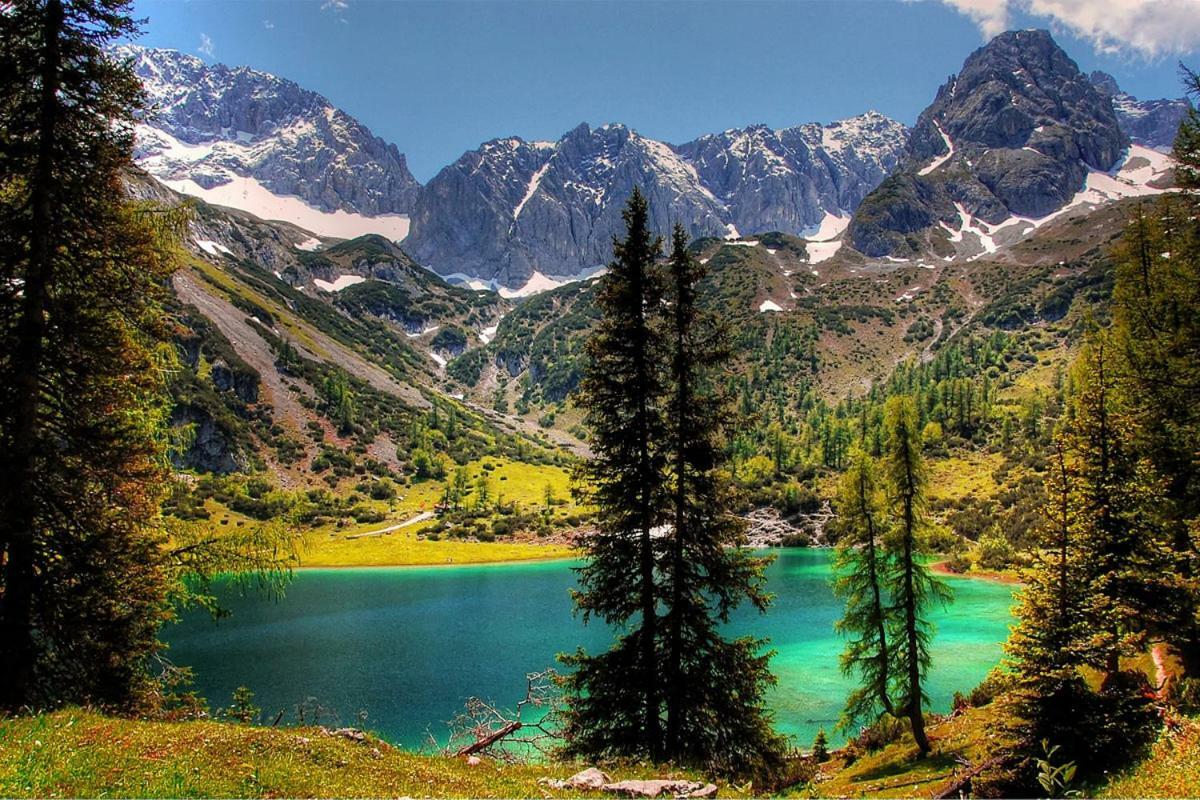 Appartmenthaus Birkenwald Зеефелд в Тирол Екстериор снимка
